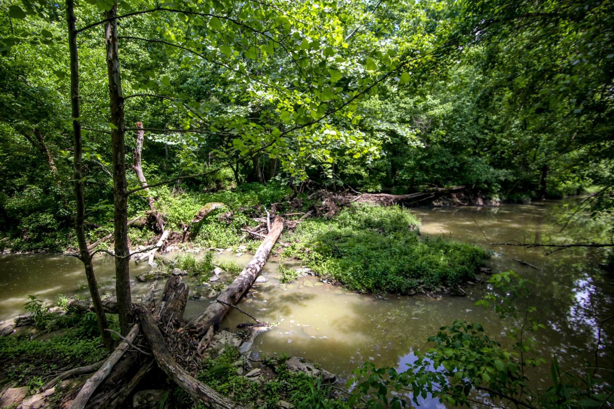 Вилла 80 Acre Retreat With Pool - Minutes To Ark - Sleeps 15 Уильямстаун Экстерьер фото